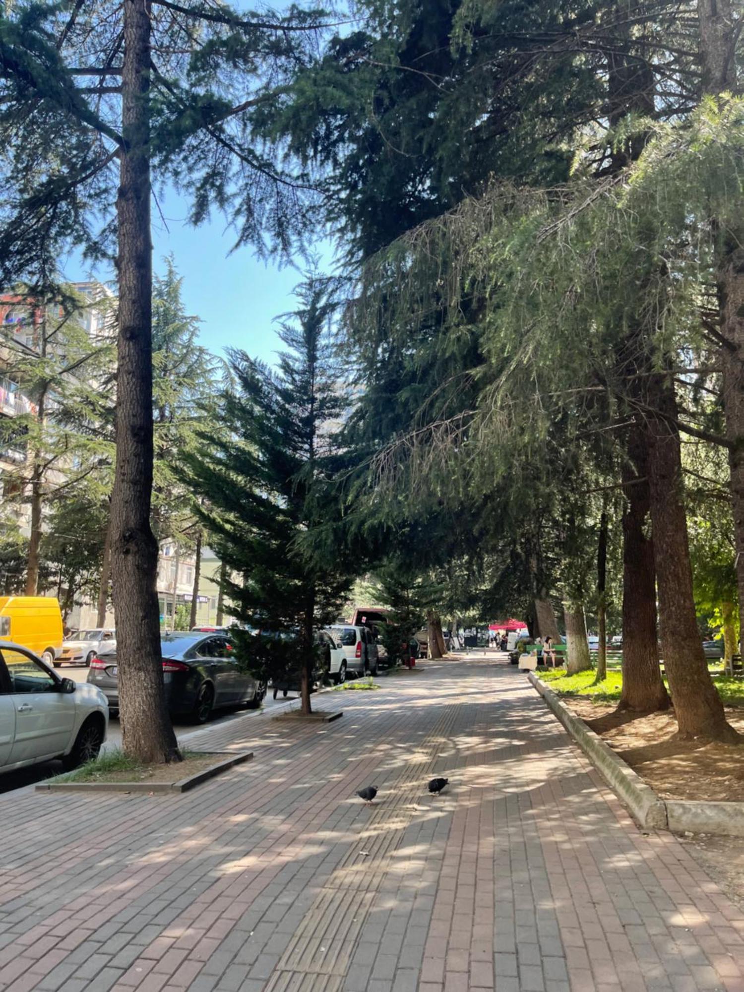 Green House Batumi Διαμέρισμα Εξωτερικό φωτογραφία
